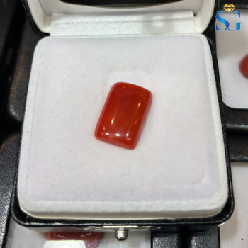 Red Coral 20₹/ratti (Moonga – Mars)