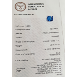 Blue_Sapphire_Cushion_Mixed_Cut_6.01C (2)