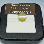 Natural_Cats_eye_oval_mixed_Cut_5.19ratti_Yellow_Transparent_Chrysoberyl (1)